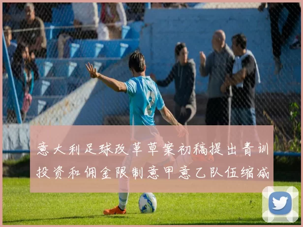意大利足球改革草案初稿提出青训投资和佣金限制意甲意乙队伍缩减至18队